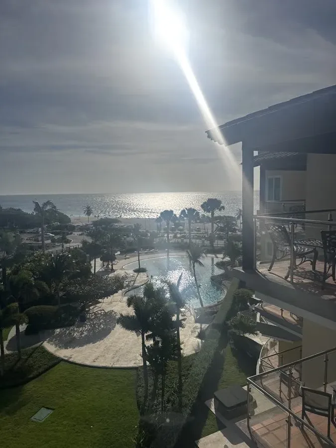 Tropical palm trees and resort grounds in Aruba